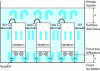 Figure 38 - Flat membrane cassettes introduced into a biological tank