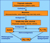 Figure 28 - Stages of anaerobic digestion (Credit UVED/ENSIL/UNILIM)