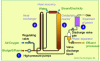 Figure 36 - Basic diagram of wet oxidation (Credit Granit Technologies)