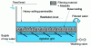 Figure 31 - Schematic diagram of a floating bed filter (Crédit Mémento Degrémont)