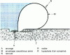 Figure 27 - Schematic cross-section of an inflatable dam