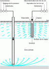 Figure 1 - Principle of air sparging coupled with venting