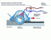 Figure 15 - Fragmentation, dosing and injection of emulsion and water (credit Wirtgen)