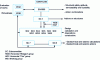 Figure 5 - Organization of CEN/TC 250 in 2013