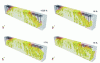 Figure 18 - Damage mapping (threshold at 0.99) for different states of corrosion of lower reinforcement (15.25; 16; 17 and 18%) and the same level of mechanical loading – approach M3