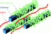 Figure 6 - Wood cell walls