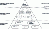 Figure 1 - The System Architecture Pyramid