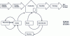 Figure 8 - Reorganization of economic circuits