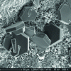 Figure 5 - Portlandite crystals – Scanning electron microscopy (Source: Lerm)