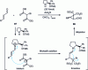 Figure 39 - Cascade Michael-Alkylation by Wang, Cordova and Ley