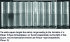 Figure 14 - Salinity scan of a model EOR (Enhanced Oil Recovery) formulation with a model oil (decane) (from [90])