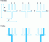 Figure 3 - Illustration of the principle of electrokinetic injection in a microsystem (inspired by [5])