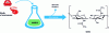 Figure 16 - Example of the use of NADES for the extraction of chitin from crustacean shells