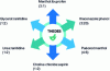 Figure 18 - Example of eutectic solvents formed from active ingredients (THEDES)