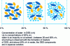 Figure 2 - Schematic representation of the microscopic structure of a DES as a function of the amount of water (after [15])