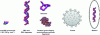 Figure 1 - Entities that can be processed using supercritical fluids (pictured with GenMol software)