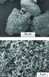 Figure 16 - Microparticles of lovastatin deposited on lactose particles, StaniTab
process (StaniPharm Company)