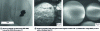 Figure 4 - Coated particles obtained by RESS process