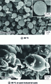 Figure 7 - Microparticles of nalmefene hydrochloride obtained by SAS process
at 13 MPa, 60°C (a) and 80°C at semi-industrial scale (b) [1]