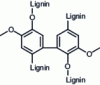 Figure 7 - 5-5' bonds formed during condensation of two lignin G units