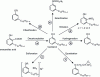 Figure 4 - Feedback to cardanol