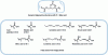 Figure 5 - Structure of various triglycerides [36] [37].