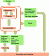 Figure 1 - Schematic representation of a biorefinery