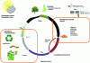 Figure 12 - Integrating biorefineries into the circular economy