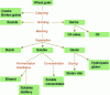 Figure 2 - Wheat biorefinery, combining milling and starch and gluten production