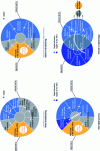 Figure 16 - CAD/CAM processes and additive manufacturing in dentistry [95]