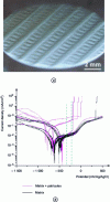 Figure 15 - Pitting corrosion after laser shock (LS): improved local electrochemical behavior of 2050-T8 alloy in NaCl medium [31]. (a) appearance of a partially LS-treated surface, (b) I = f (E ) curves laser shock essentially improves matrix behavior (green = pitting initiation zone on untreated material).
