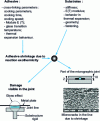 Figure 7 - Factors influencing adhesive shrinkage and consequent damage to bonded joints (from [21])