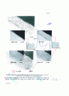 Figure 9 - Microscopic observations of galvanizing coatings according to the silicon content of the steel: illustration of the Sandelin curve