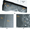 Figure 4 - TEM observations of a SON68 glass sample weathered 26 years at 90°C in a confined granitic environment (after [12])