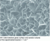 Figure 7 - Example of phyllosilicates observed by SEM and developed on the glass surface, at the gel/solution interface, during alteration of SON68 glass at 90°C, in pure water after 6 days (from [18]).