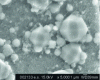 Figure 9 - Example of zeolites observed by SEM and developed at the glass/gel interface during glass weathering: analcime crystals observed on a SON68 glass sample weathered in NaOH medium, pH 11.5 at 90°C, S/V = 65 cm–1