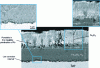 Figure 16 - SEM-FEG backscattered electron image of a cross-section of a T91 sample immersed 3,600 h in oxygen-saturated Pb-Bi at 470°C