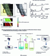 Figure 20 - Re-corrosion experiment using oxygen 18 in a set-up simulating humidification-drying cycles [74][75].