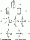 Figure 18 - The  translation is not unequivocal