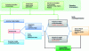 Figure 30 - Global strategy for simulating device emissions