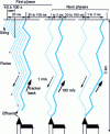 Figure 8 - Chronology of a negative discharge [1] [2] [3]