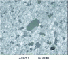 Figure 31 - Abnormal growth start-up (grey grains) in a matrix with a sharp {100}<001> texture and small grains (light grains) of a 2nd generation Fe-30%Ni magnetic alloy.