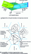 Figure 9 - Magnetomechanical equilibrium in a polycrystal