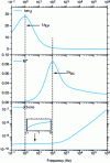 Figure 20 - Example of electrode polarization and MWS observed at 280°C in a thermoplastic polymer of the parylene type C