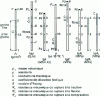 Figure 4 - Properties of industrial carbons, graphites and perfect graphite