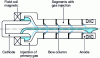 Figure 14 - Diagram of SKF torch 