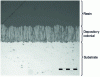 Figure 21 - Deposition of yttriated zirconia b (8% by mass) with columnar structure obtained at 1 mbar (plasma-assisted CVD) with a 150 kW Sultzer-Metco torch. 29
