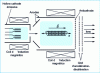 Figure 19 - duoPIGatron Penning-type ion beam source 