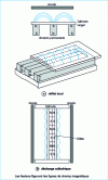 Figure 6 - Diode magnetron discharge structures