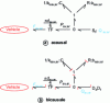 Figure 32 - Bond graphs of an active hydraulic suspension